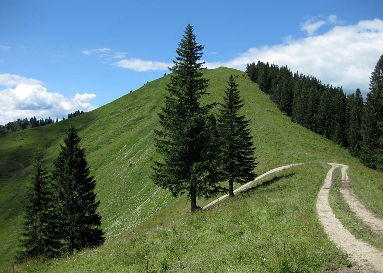 Kampen-Rundtour von Lenggries in Richtung Seekarkreuz zur Rauhalm, ins Söllbachtal und über Aueralm und Hirschtalsattel zurück