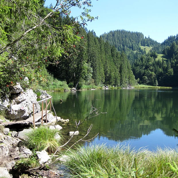 Bike&Hike Tour von Kössen zur bewirteten Frankenalm und weiter über die Hirzinghütte zum idyllischen Taubensee sowie zur gleichnamigen Taubenseehütte