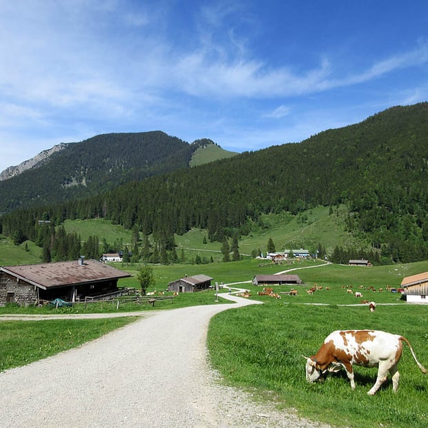 Mountainbike Klassiker von Neuhaus am Schliersee über Bayrischzell, das Kloo-Ascher-Tal, Valepp und den Spitzingsee einmal rund um die Rotwand
