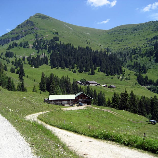 Von Lenggries-Fall am Sylvensteinspeicher über die Jausenstation Aquila zur Rotwandalm unterhalb des Juifen
