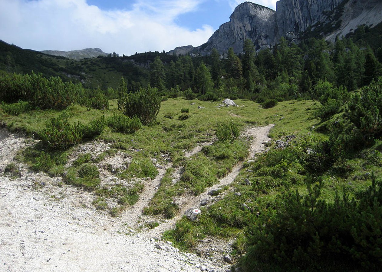 Vom Achensee über Kotalm Nieder- und Hochleger weiter Richtung Steinernes Tor im Rofangebirge