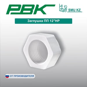 Заглушка ПП 12″НР