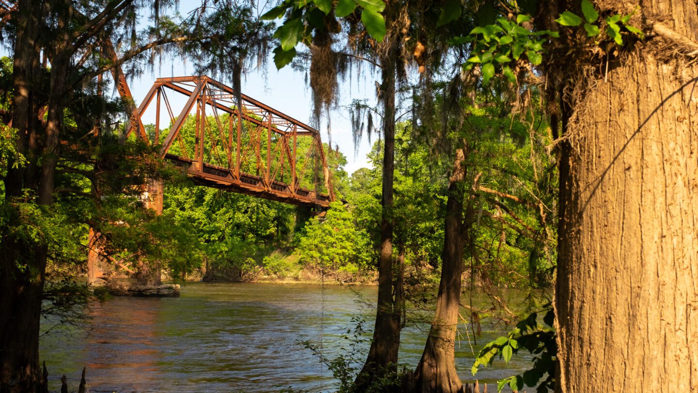A view of Flint River behind trees
