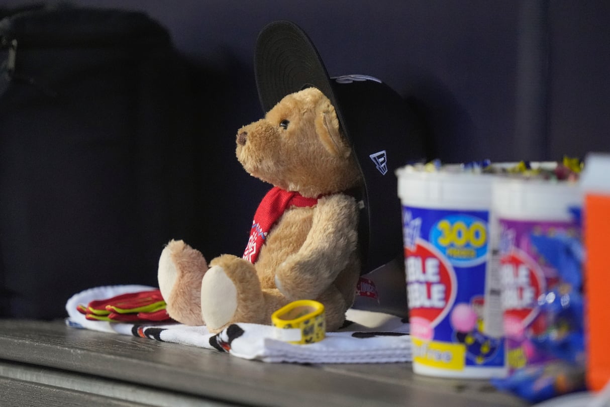 The Atlanta Braves have a new furry friend in the dugout named 'Snitbear' to coincide with their turnaround.