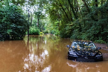 A partially submerged vehicle in a pool of brown water, surrounded by trees.