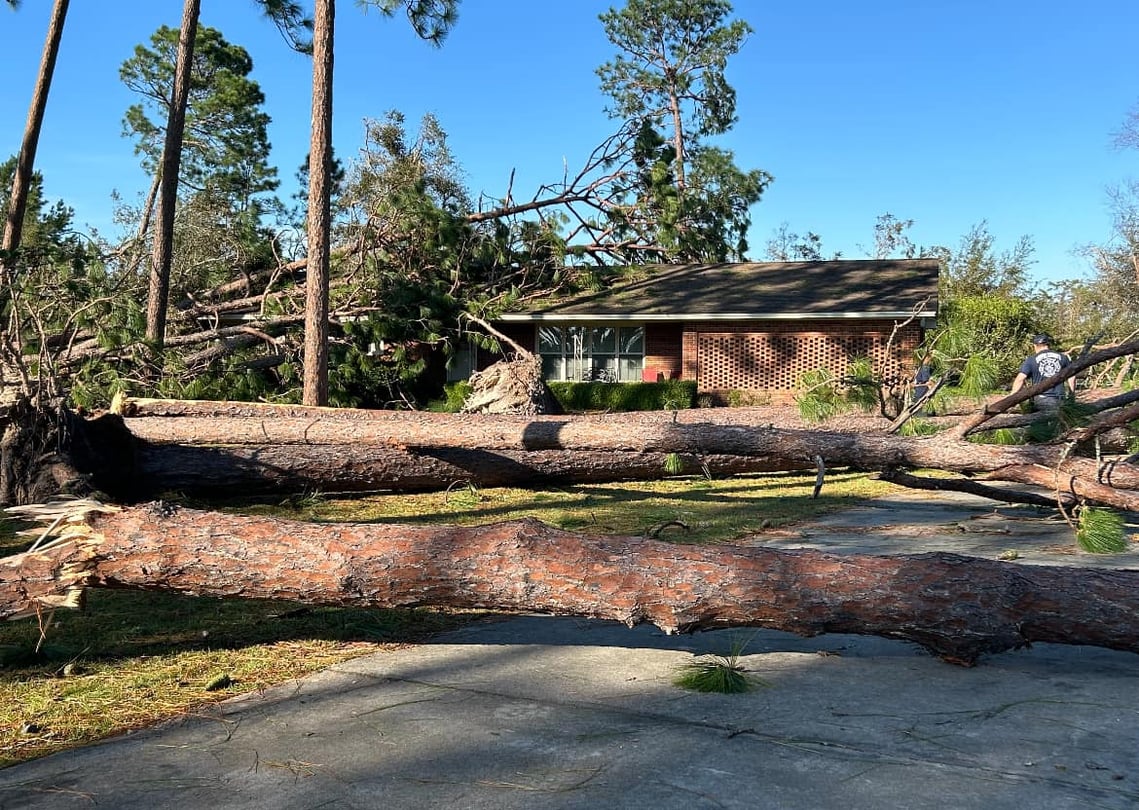 Fallen trees in Coffee County, Georgia, in the aftermath of Helene.