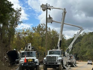 Several vehicles with long cranes are next to a site where there has been significant storm damage to trees.