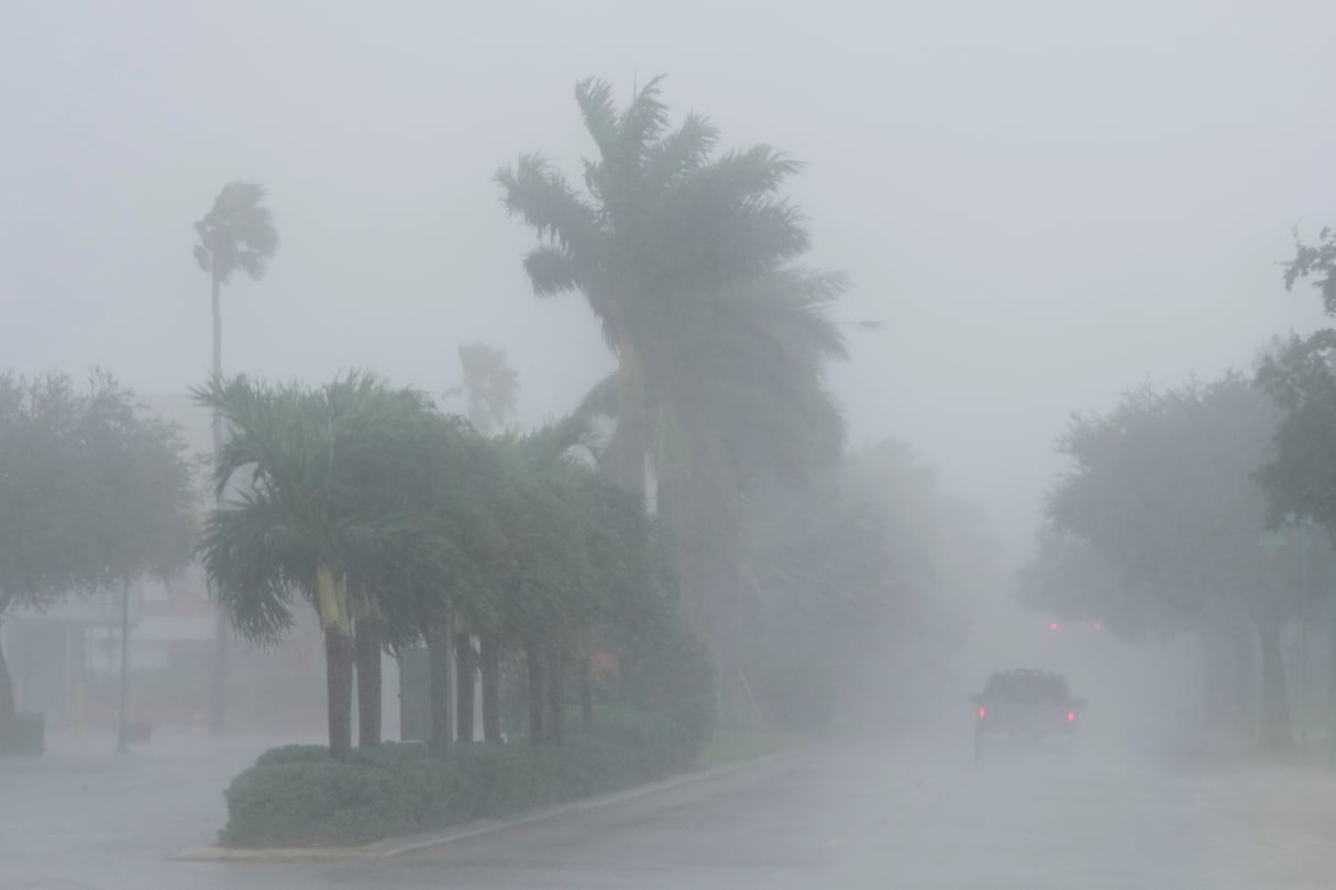 A strong gust of rain and wind hits several palm trees.
