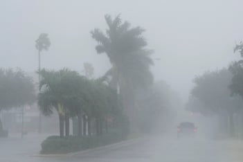 A strong gust of rain and wind hits several palm trees.
