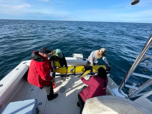 A group of people on a boat holds a bright yellow, torpedo-shaped glider