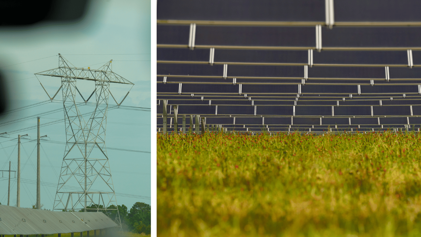 Powers lines (left) can be seen near a solar farm in Lee County, Georgia. The farm has rows and rows (right) of solar panels.
