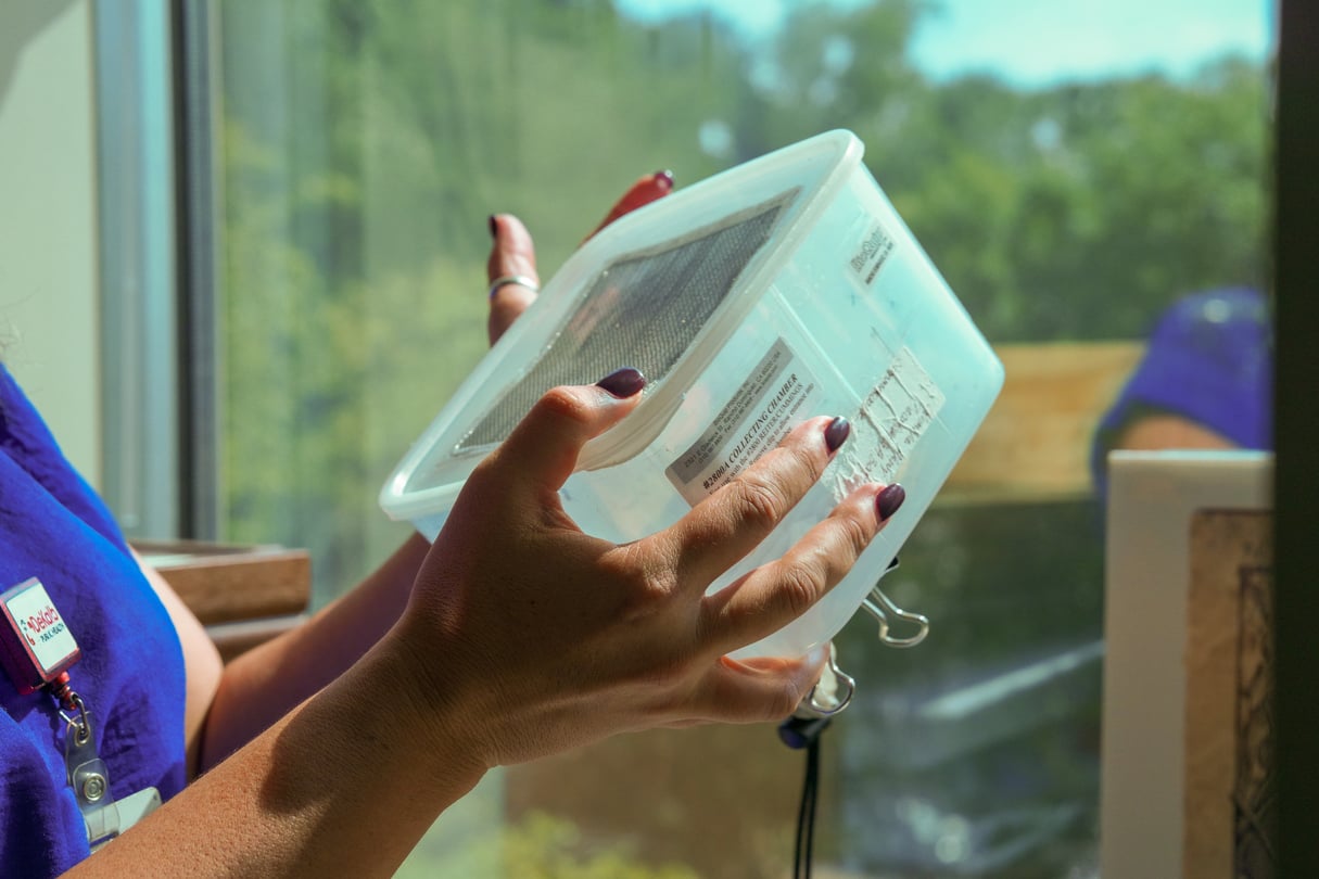 DeKalb Tracks And Tests Mosquitos For West Nile Virus WABE