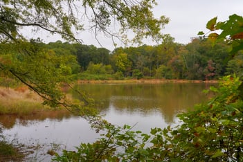 The pond in Legacy Park on an overcast day in Decatur, Ga on Tuesday, October 28, 2025.
