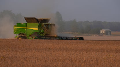 Soybeans are harvested on a farm