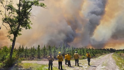 Large plumes of smoke during the day rise up from a forest, while emergency staff stand at the scene of the fire