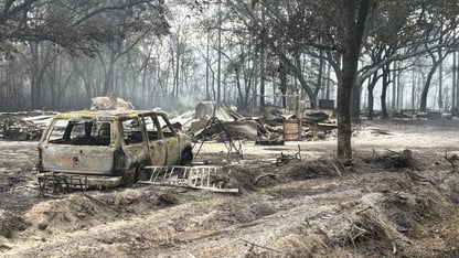 A singed car and the charred remains of trees in the aftermath of a fire