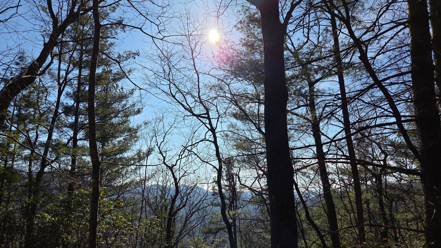 A ban on roads allowed wilderness to flourish in the Southeast’s ...