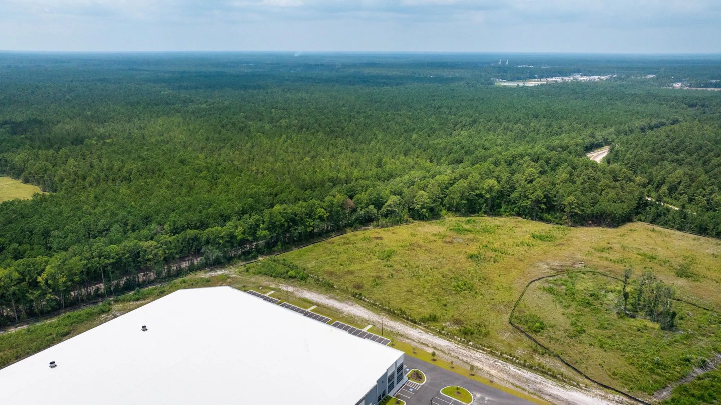 A pine forest is shown in effingham county georgia