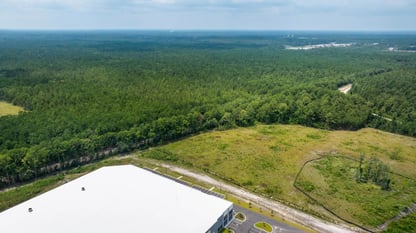 A pine forest is shown in effingham county georgia