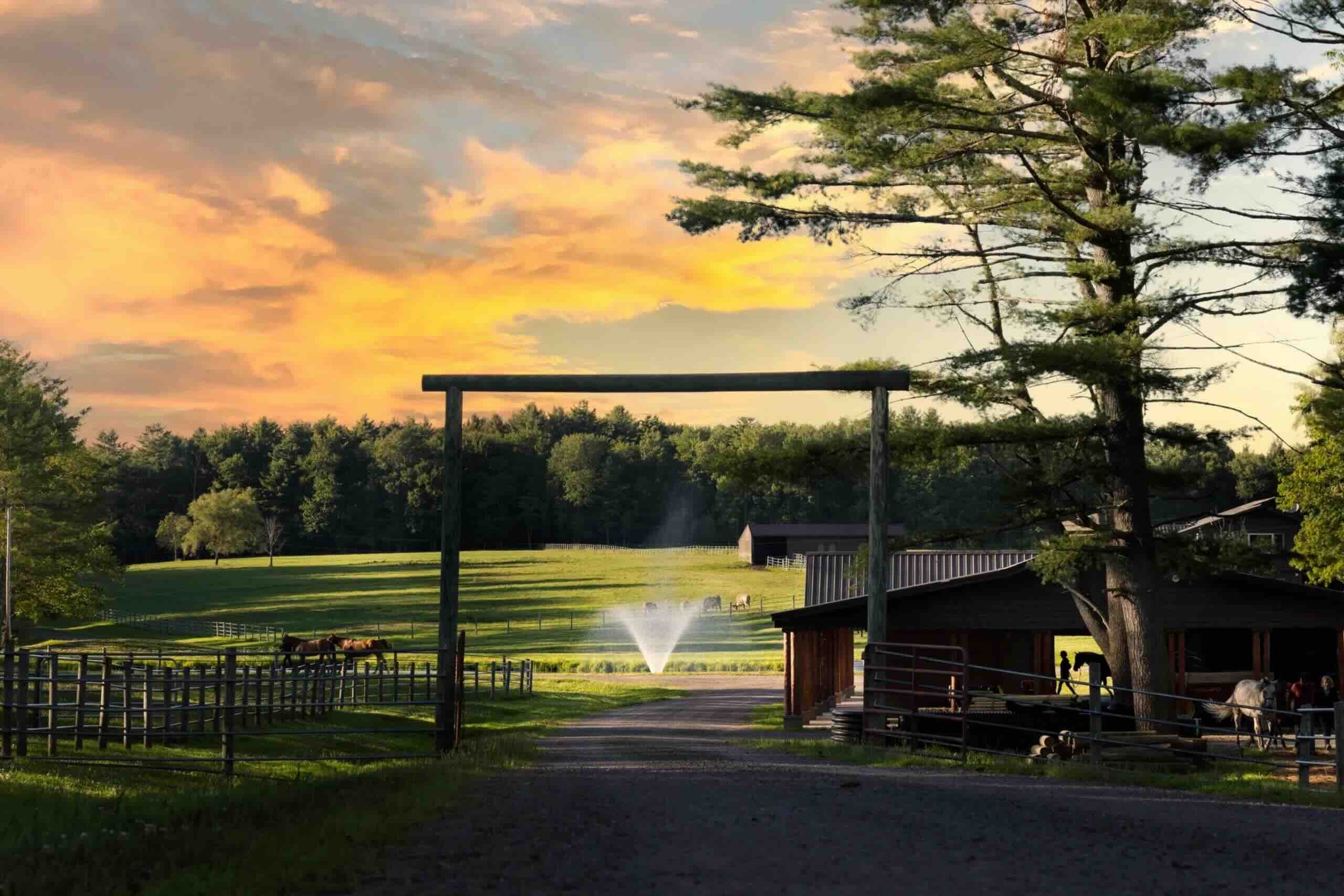 Driftwood Ranch Resort – Where to Stay for a Western Getaway Without Leaving New York
