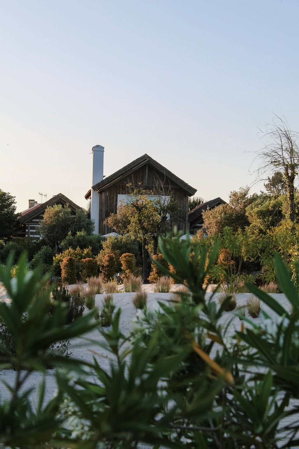 Quinta da Comporta – This Comporta Wellness Resort Is Leading the Field With Rice-Based Skincare