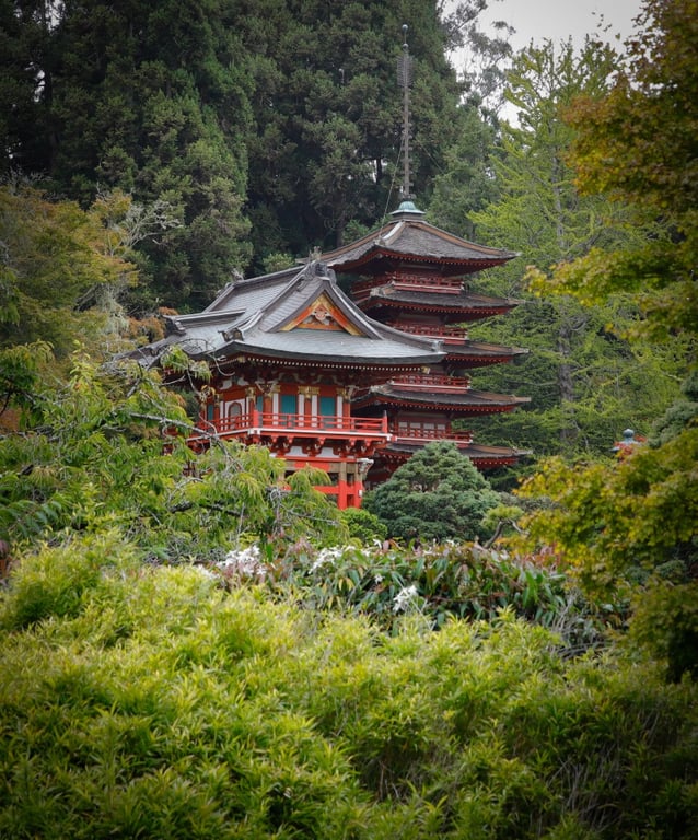 Japanese Tea Garden in San Francisco | Dutch Windmills at Golden Gate Park representing The Netherlands | Clement Street representing China | Belden Lane in San Francisco | Schroeder's in San Francisco, Ca. on May 28, 2014. (Photo Copyright Nader Khouri 2014) | Filoli Historic Home and Gardens representing England | Sutro Baths representing Ancient Greece
