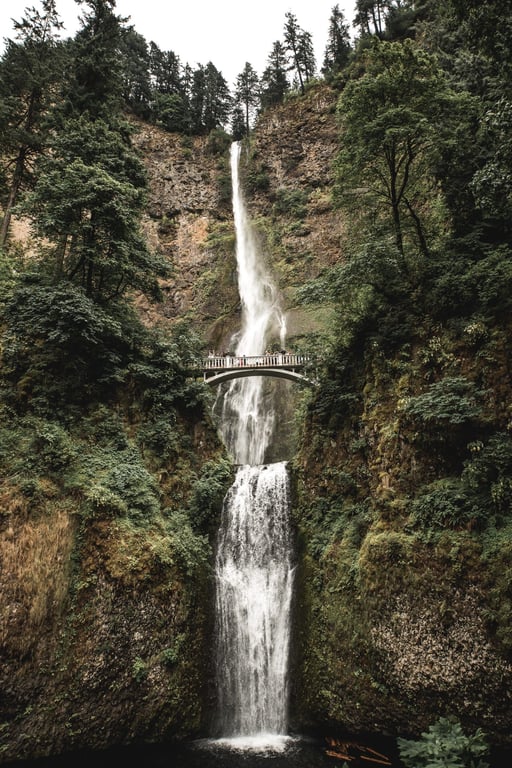 Where to Stay in Portland, Oregon