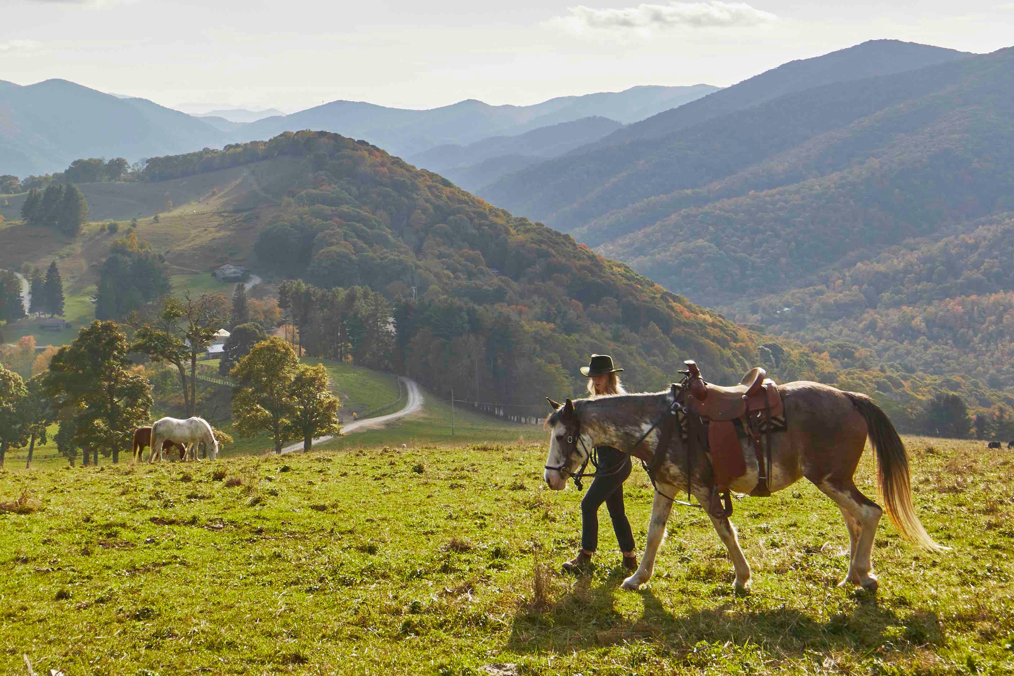 Horseback riding at Cataloochee Ranch