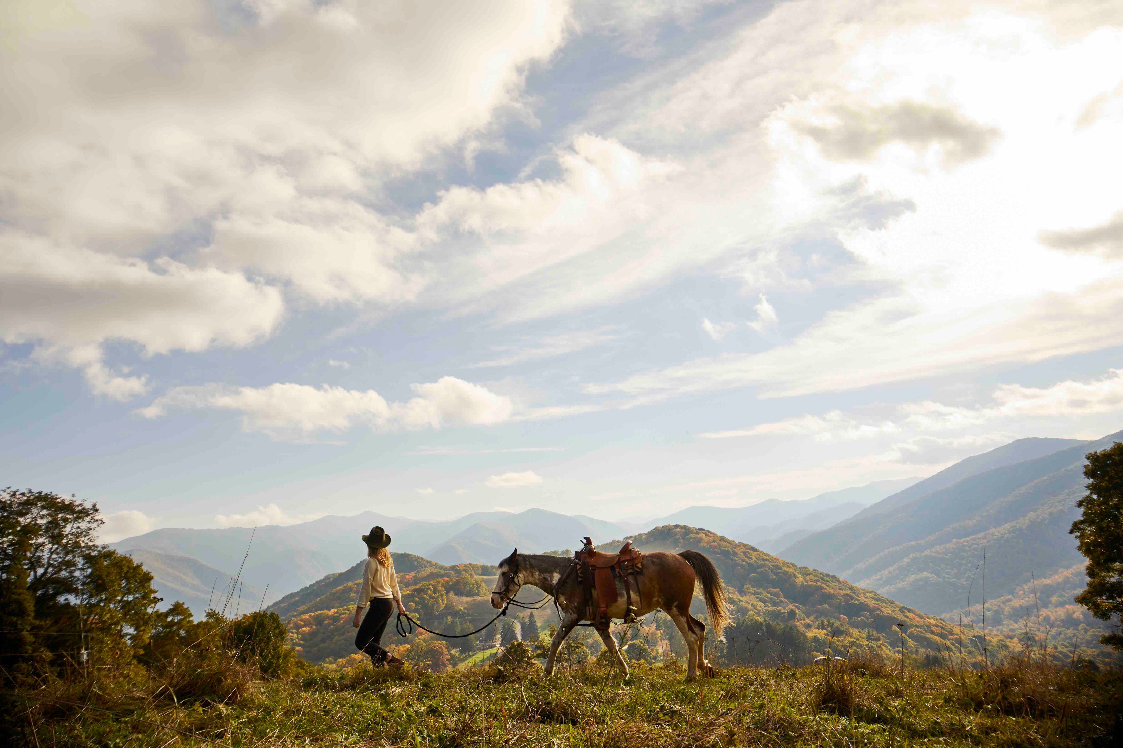 Horse backing riding in the Great Smoky Mountains