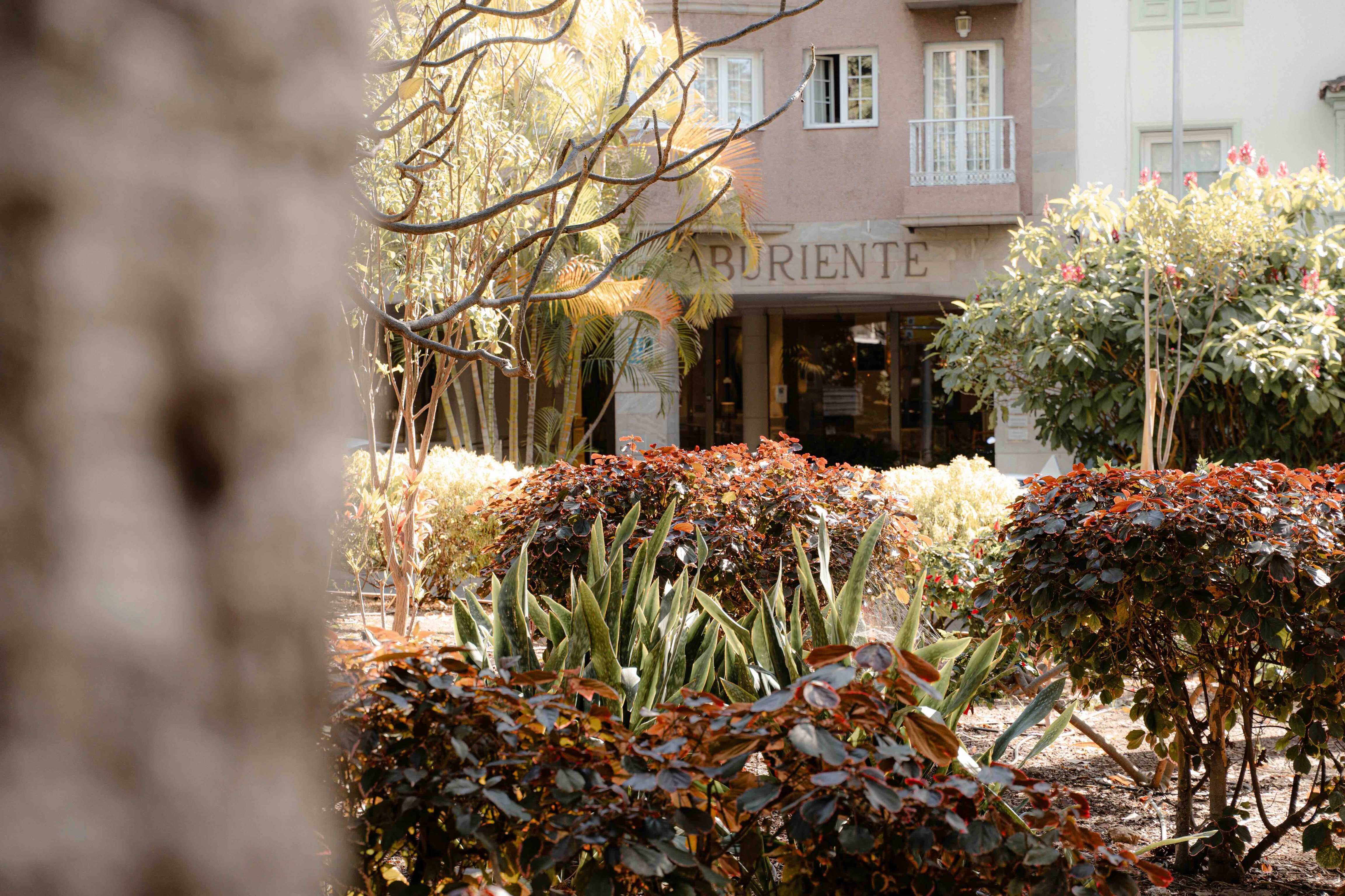 Hotel Taburiente – Hotel Taburiente—A Four-Star Urban Oasis in the Heart of Santa Cruz