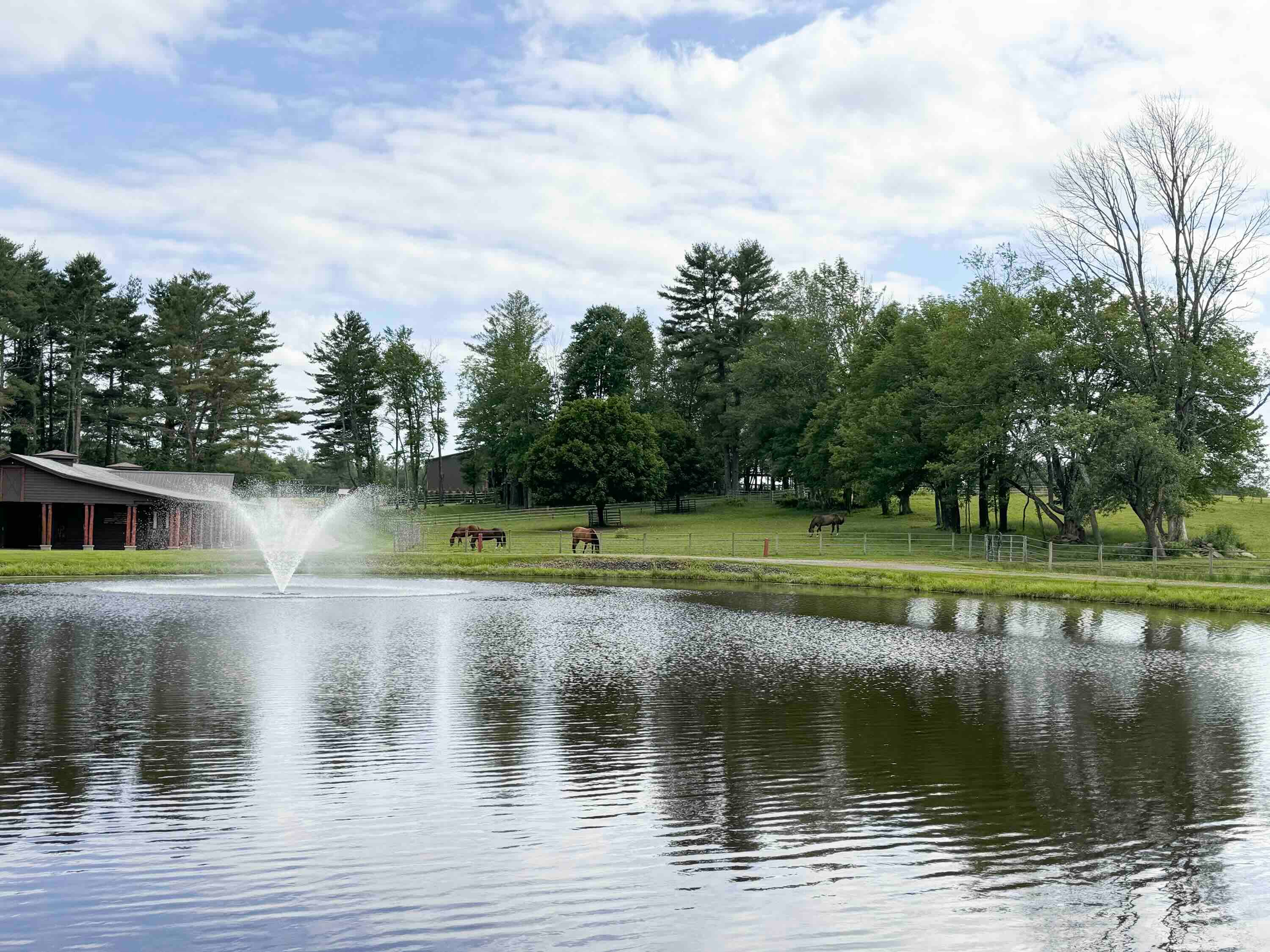 Driftwood Ranch Resort – Where to Stay for a Western Getaway Without Leaving New York