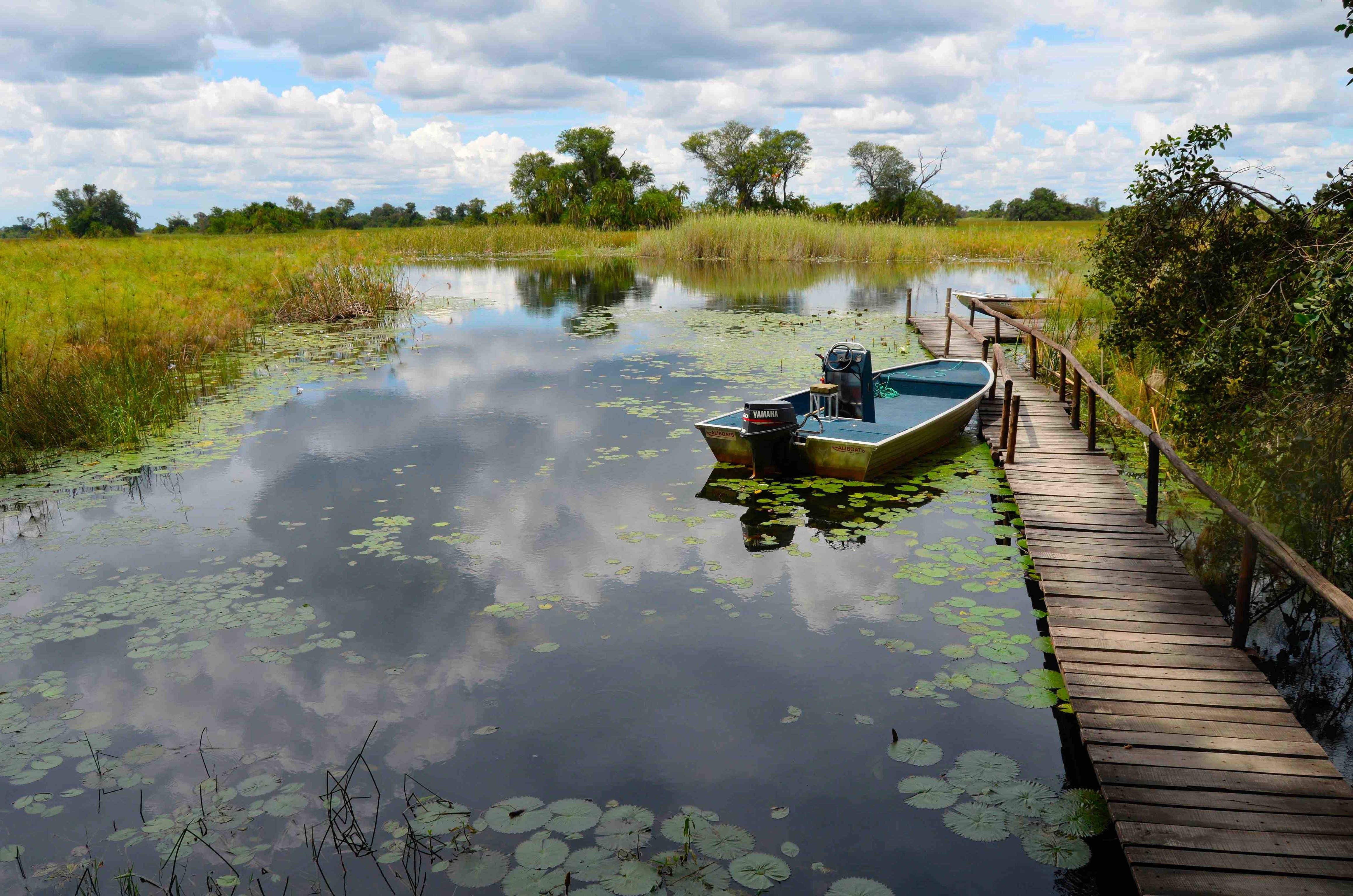 Nxamaseri Island Lodge – Deep in the Delta, This Hidden Island Retreat Is a Dreamy Water Safari Destination