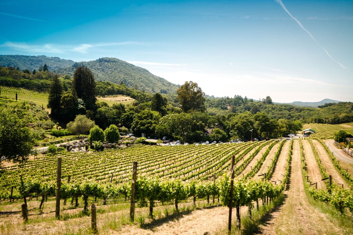 The Best Boutique Hotels in Sonoma Valley