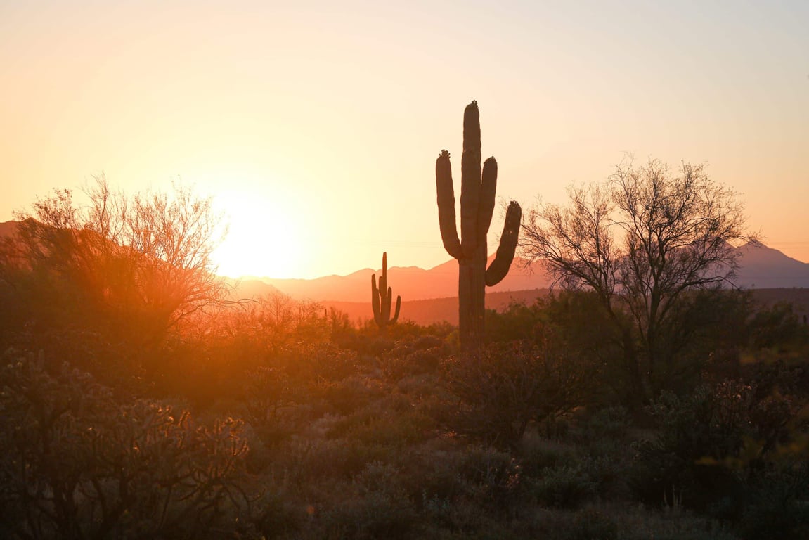 Phoenix & Scottsdale Destination Guide | The Hermosa Inn | Cala Scottsdale | Toca Madera Scottsdale | 36 Below | Camelback Mountain | The Phoenician Spa | Old Town Scottsdale | Century Grand Phoenix