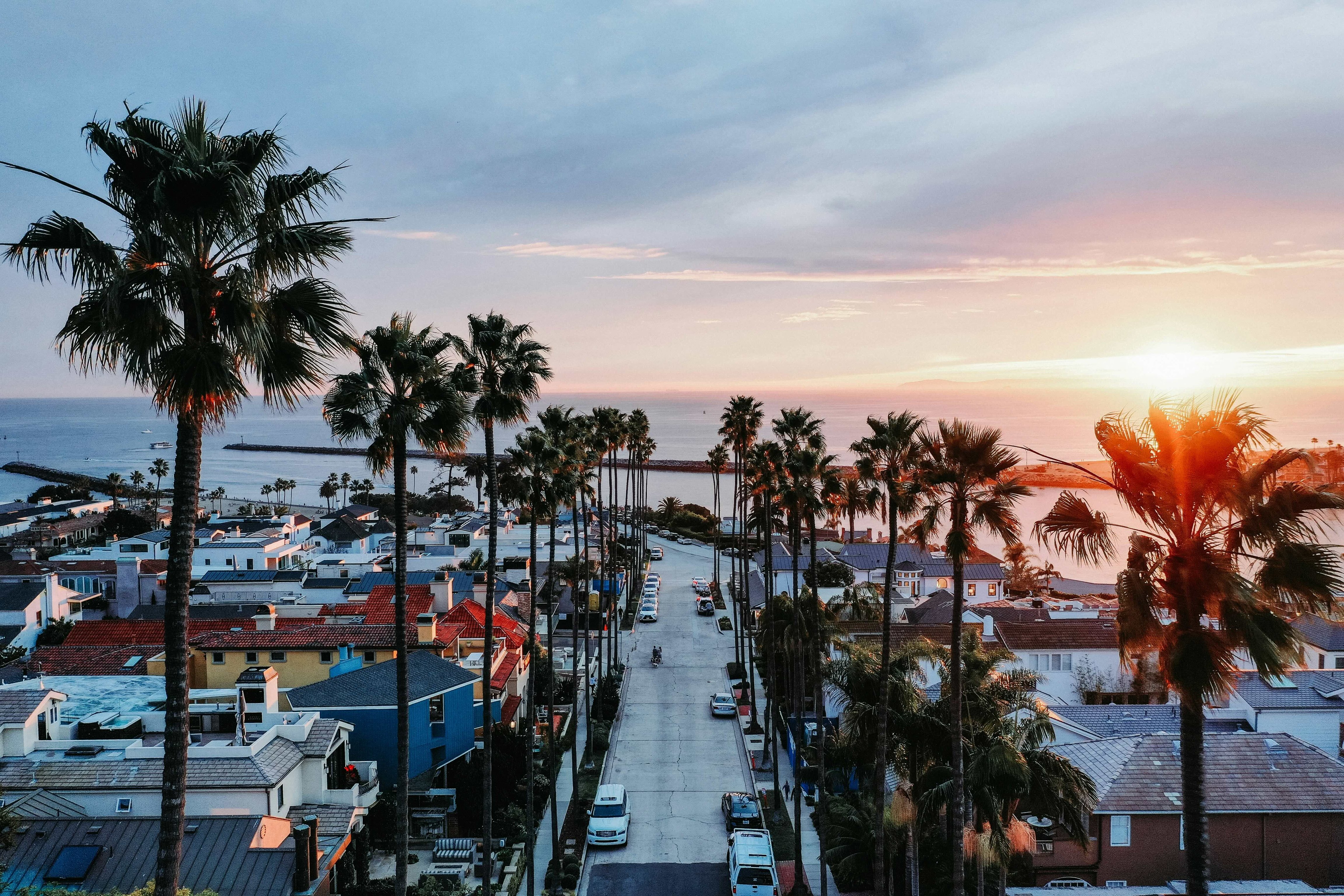 Credit: Jeffrey Clayton, Courtesy of Unsplash