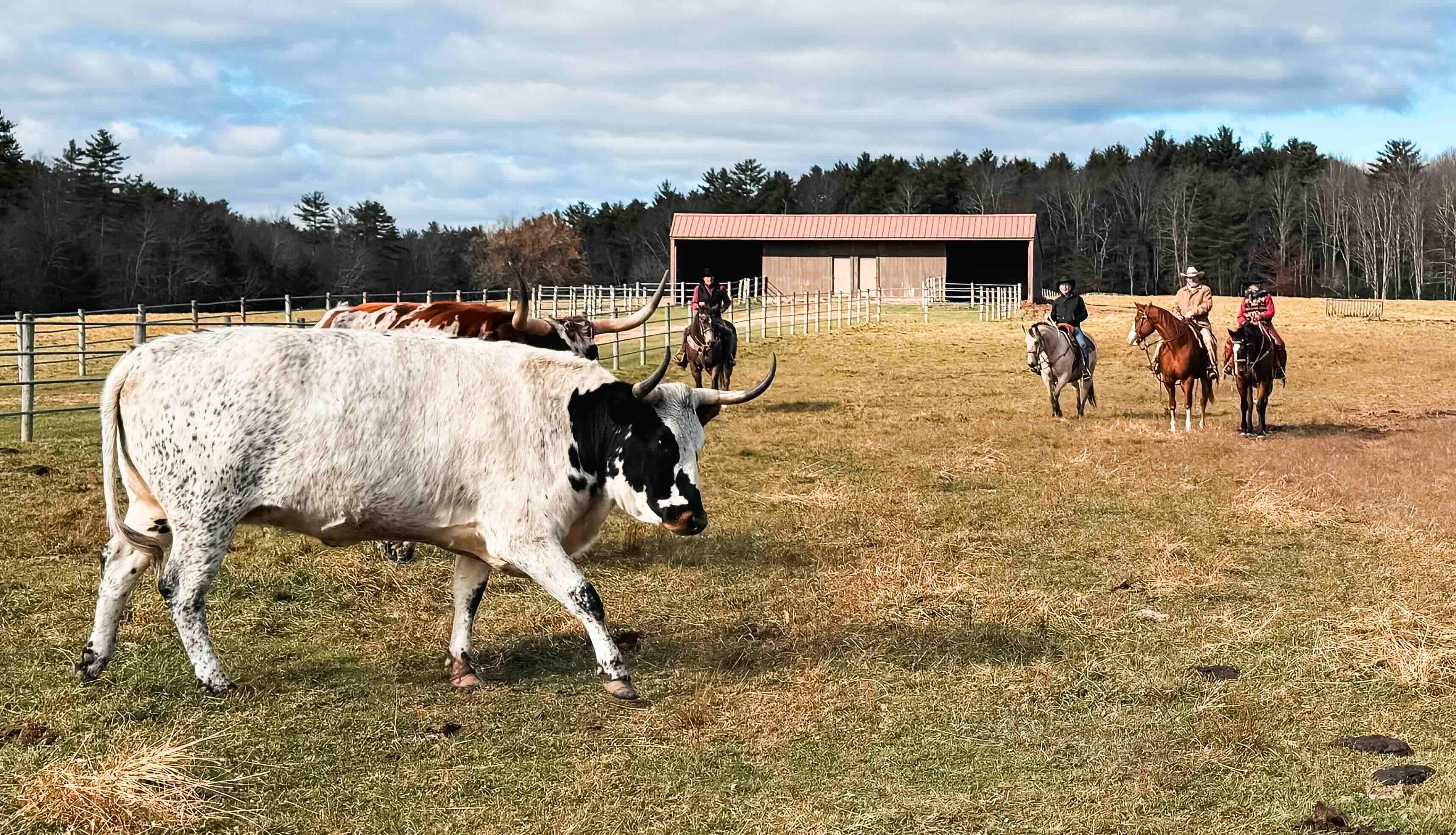 Driftwood Ranch Resort – Where to Stay for a Western Getaway Without Leaving New York