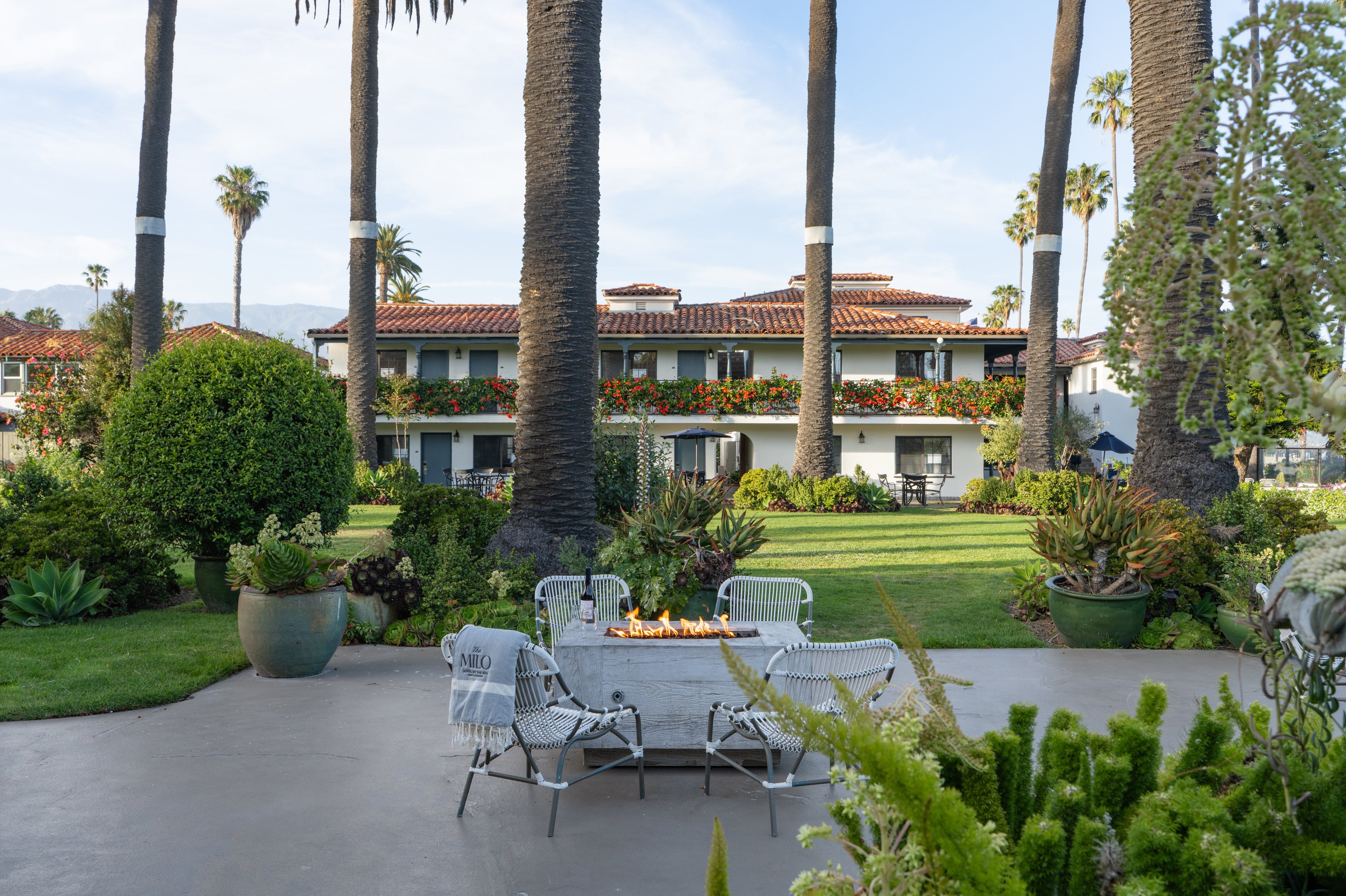 Courtesy of The Milo