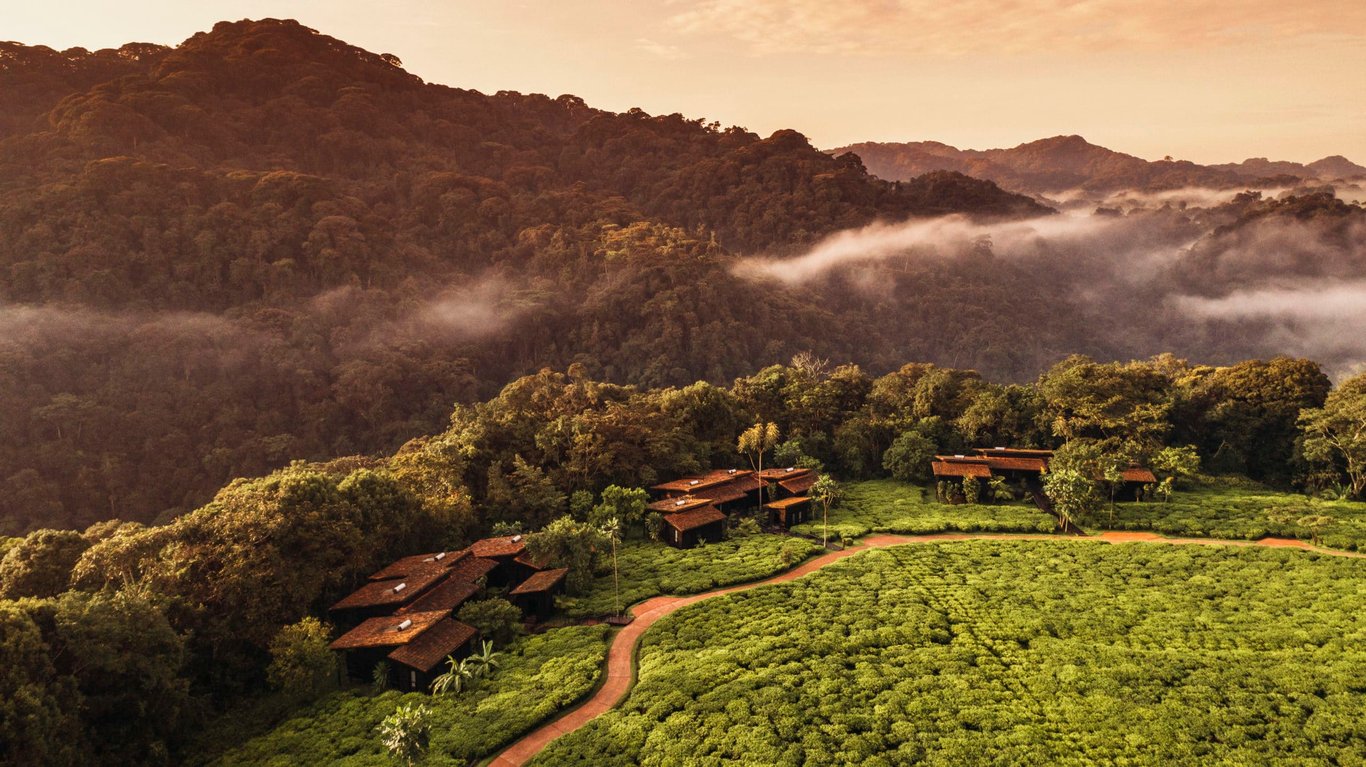 Rwanda Destination Guide | Nyungwe Forest National Park | Akagera National Park | Kigali Genocide Memorial | Volcanoes National Park | Imigongo Art Center & Cafe | Rushel Kivu Resort | Hotel des Milles Collines | Cleo Lake Kivu Hotel | One&Only Nyungwe House | Virunga Lodge
