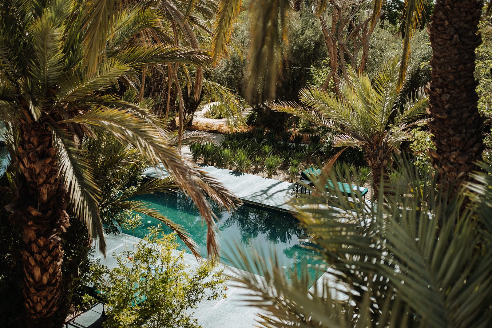 Jnane Tamsna - Inside Jnane Tamsna: A Black-owned Oasis on the Outskirts of Marrakech