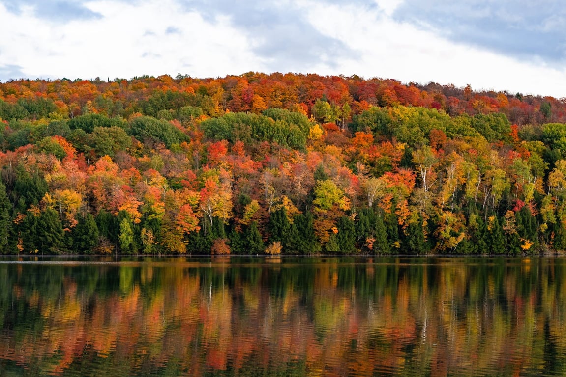 The Top Places + Boutique Hotels to Visit for Leaf-Peeping Season | Lake Placid, NY | Eastwind Lake Placid | Aspen, CO | Hotel Jerome | Lenox, MA | 33 Main | Park City, Utah | Pendry Park City | Bar Harbor, ME | Salt Cottages | Montreal | Hotel William Gray | Barnard | Twin Farms