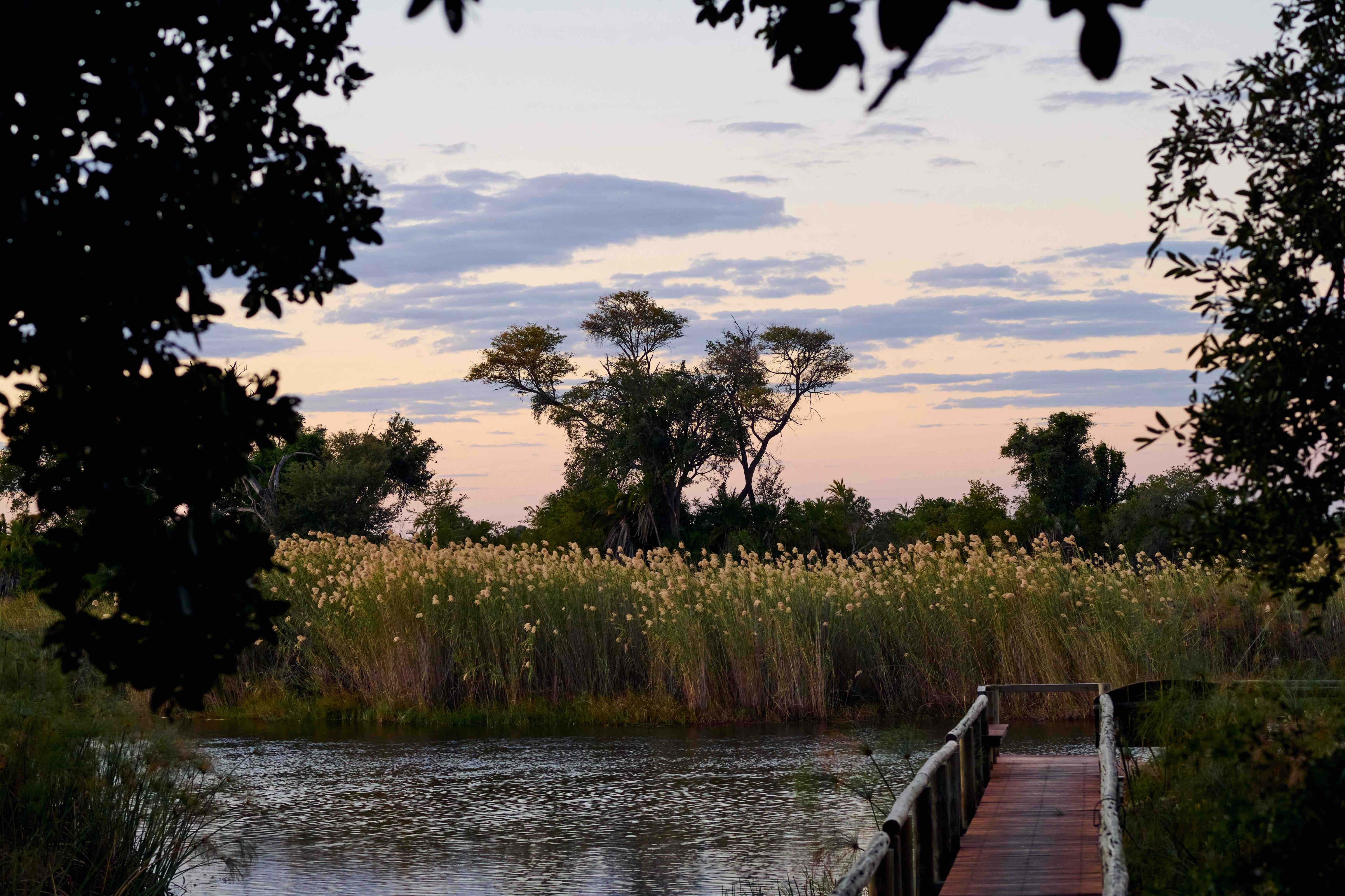 Nxamaseri Island Lodge – Deep in the Delta, This Hidden Island Retreat Is a Dreamy Water Safari Destination