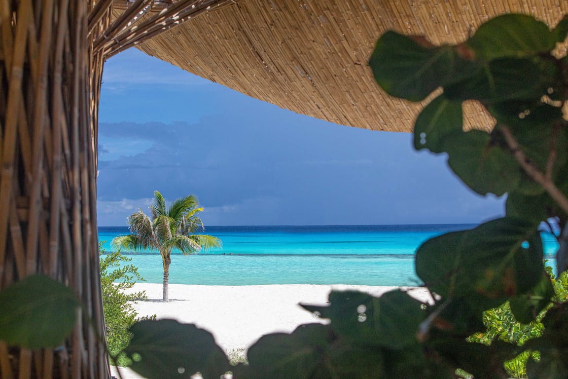 Palmaïa – The House of AïA: Playa Del Carmen’s Ultimate Wellness Escape