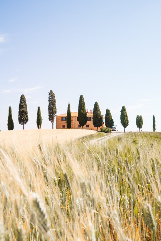 Where to Visit in August | Denver, Colorado | Thompson Denver, Colorado | Denali National Park, Alaska | McKinley Creekside Cabins, Denali National Park, Alaska | Saint-Tropez, France | Cheval Blanc, St. Tropez | Paleokastritsa, Corfu, Greece | Angsana Corfu Resort, Corfu, Greece | Porto, Montenegro | La Fleur Boutique Hotel, Porto, Montenegro | Tuscany Italy
