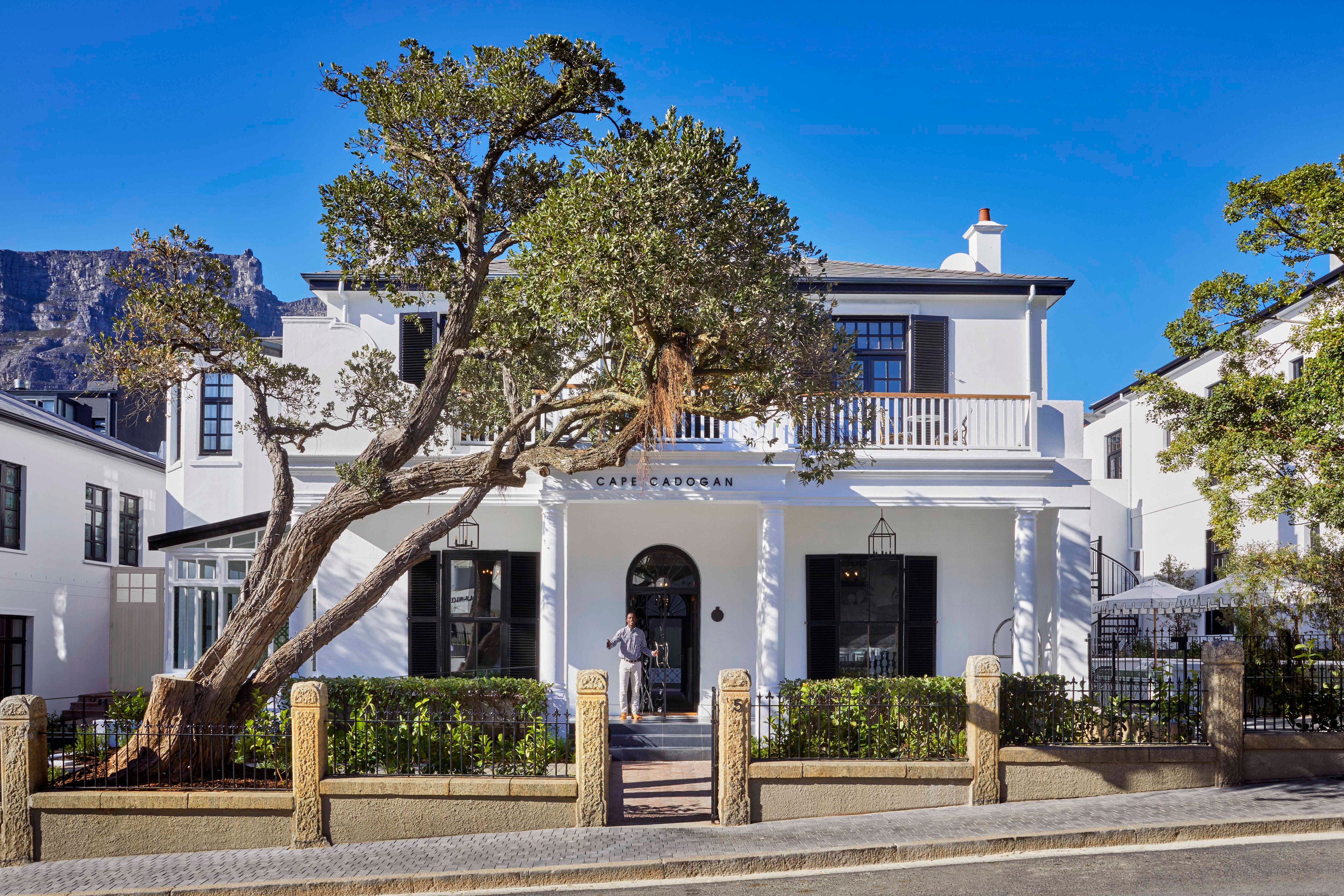 Cape Cadogan boutique hotel entrance with mature tree and Table Mountain views.