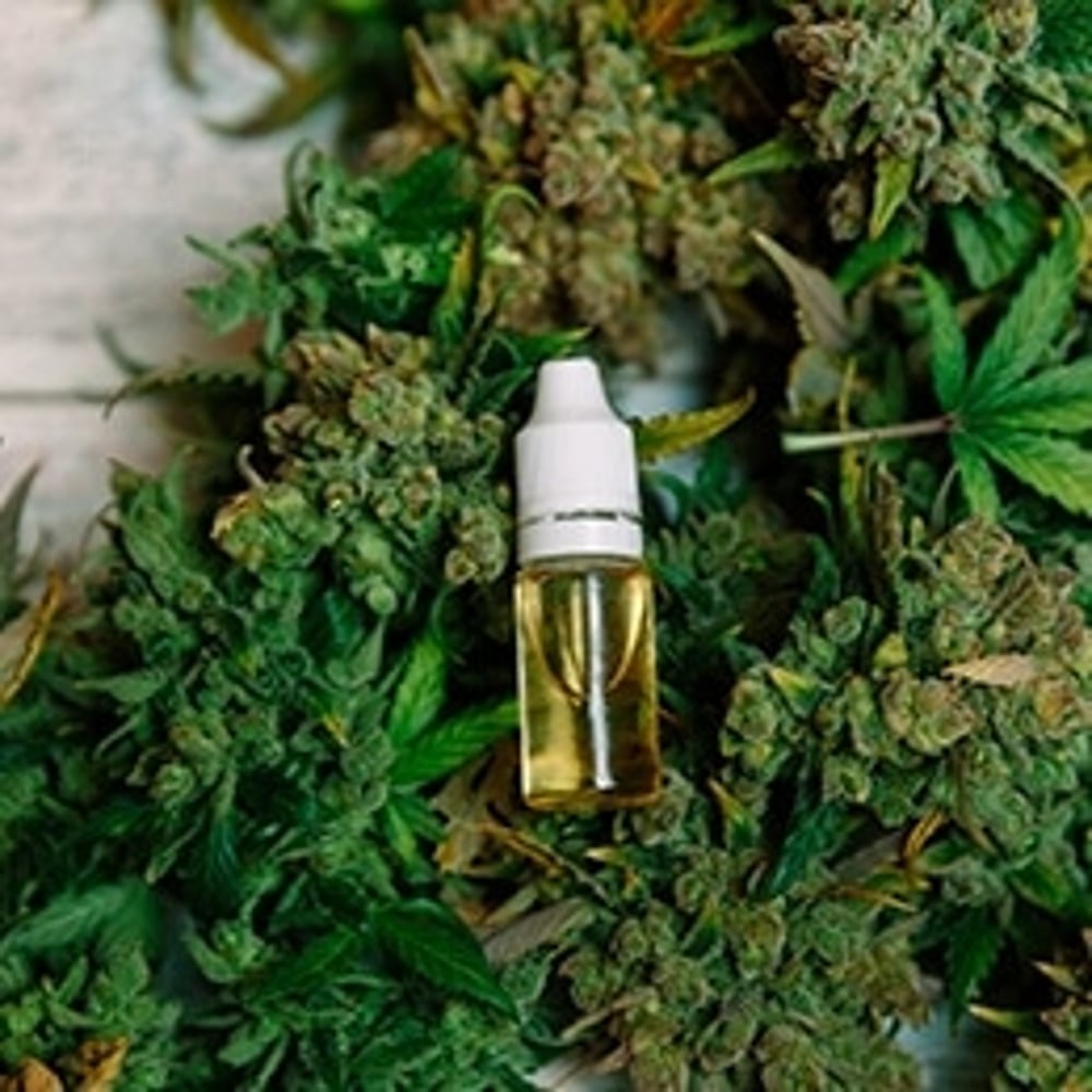 cbd skunkfrø