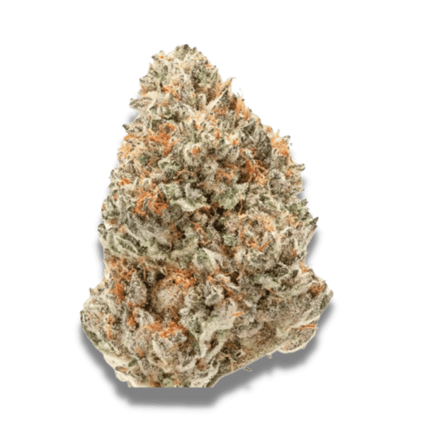 Watermelon Weddingcake Growers Choice cannabisfrø