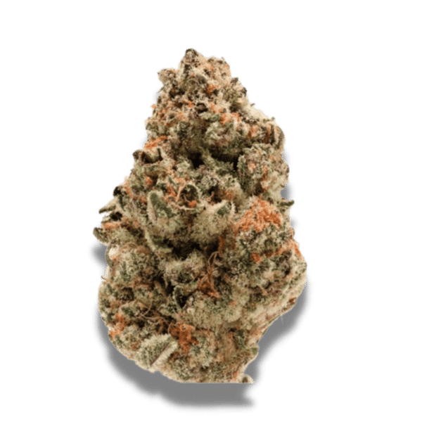 Rainbow Candy Growers Choice cannabis seeds