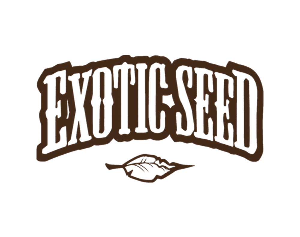 Exotic Seed logo cannabis seeds