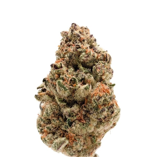 Rainbow Candy Auto Growers Choice skunkfrø