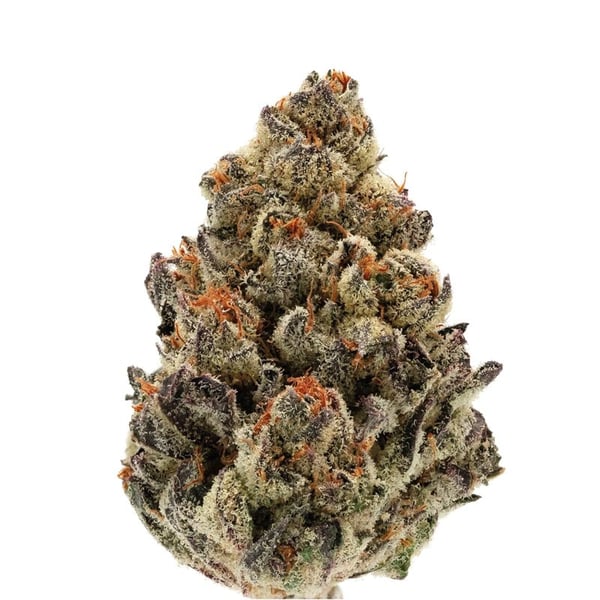 Bruce Banner III growers choice skunkfrø